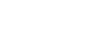Turkish Global Society